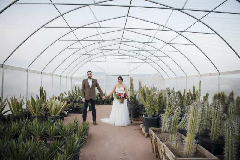 A groom and bride hold hands in the center of a greenhouse filled with potted cacti.