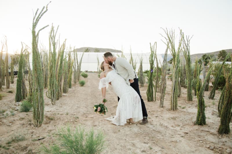 A groom dips his bride and kisses her as they stand in a field of Cholla cacti.