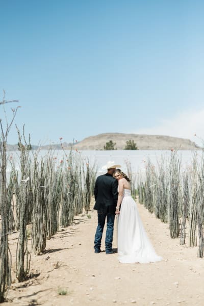 A bride turns back to look at the camera as she and her groom stand between rows of Cholla cacti.