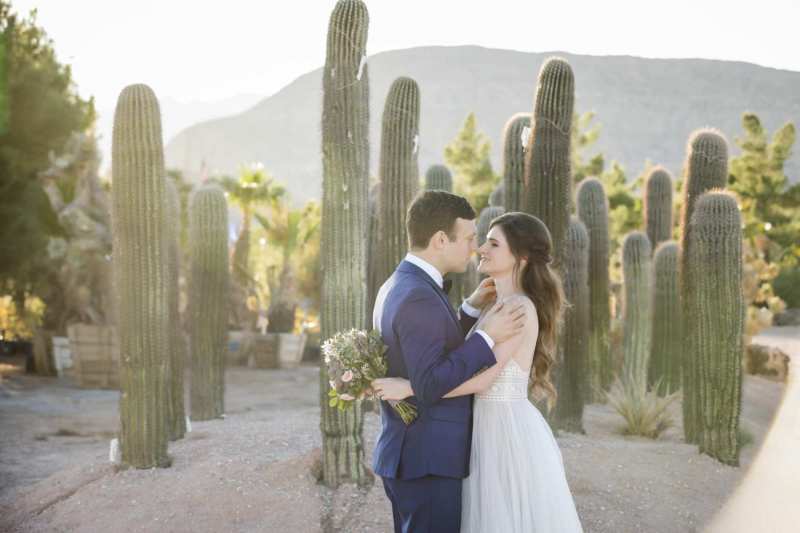 A groom and bride embrace and close their eyes as they stand in front of rows of Saguaros.