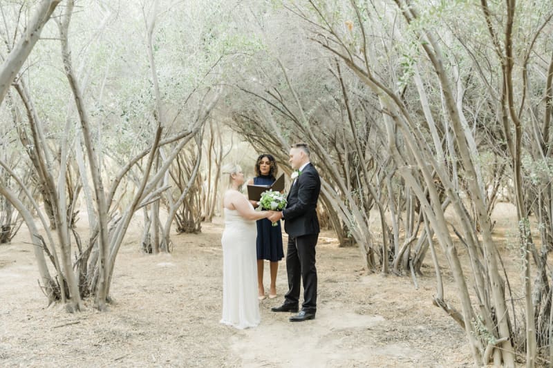 A bride and groom stand facing each other and holding hands while their minister performs an upscale vow renewal ceremony under a canopy of trees.