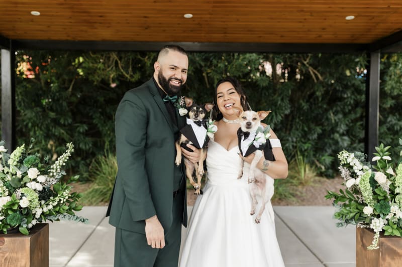 A groom and bride each hold a small dog. The dogs are wearing tuxedos.