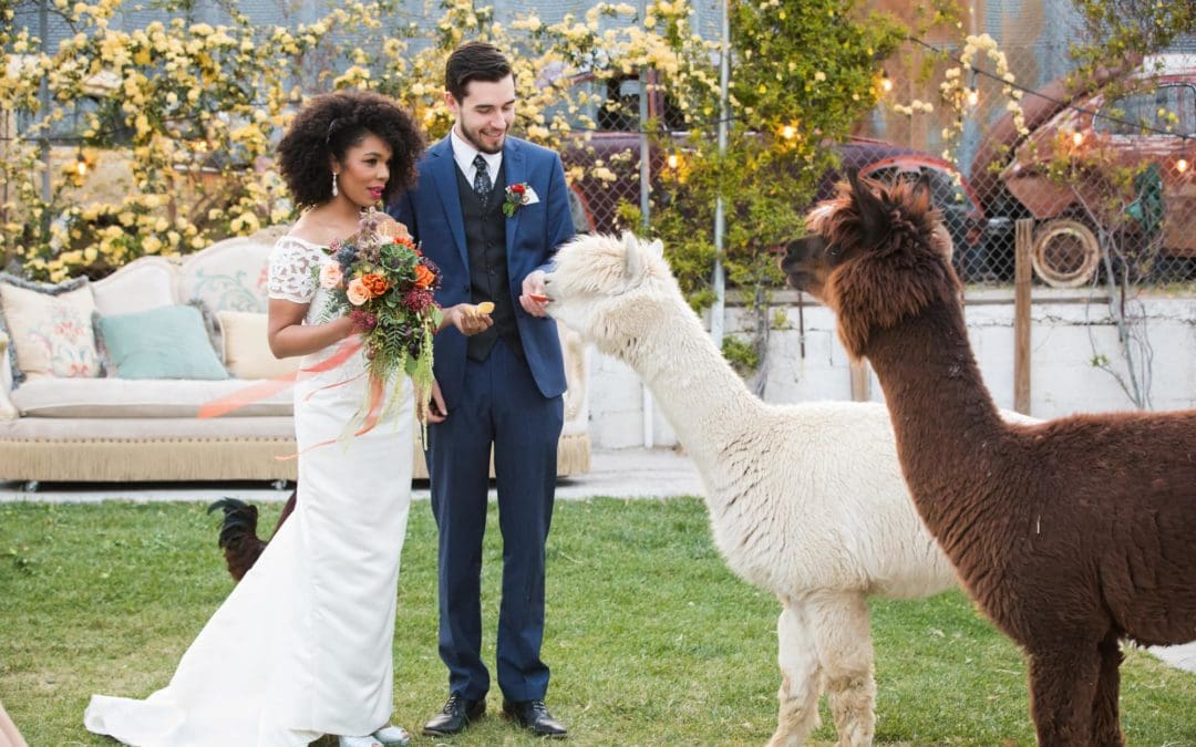 The Ultimate Guide to a Sustainable Wedding in Las Vegas