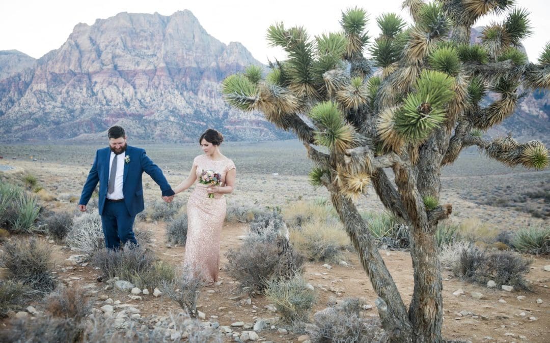 Beth + Derek | Red Rock Canyon Wedding